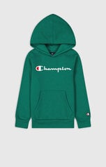 Детский свитер Champion, зеленый цвет цена и информация | Свитеры, жилетки, пиджаки для мальчиков | kaup24.ee