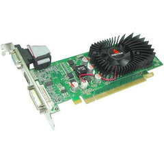 Graafikakaart Biostar GeForce 210 1GB hind ja info | Videokaardid (GPU) | kaup24.ee