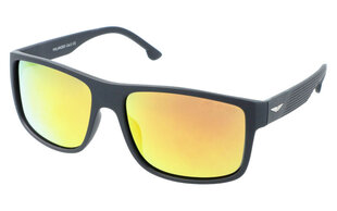 Поляризованные солнцезащитные очки для мужчин PolarZone FH34 цена и информация | Солнцезащитные очки для мужчин | kaup24.ee