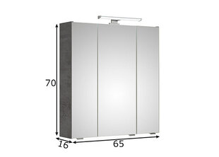Peegelkapp 66-I led-valgustisega tumehall цена и информация | Шкафчики для ванной | kaup24.ee