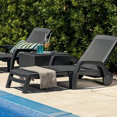 Пляжный стул Майами серый цена и информация | Садовые стулья, кресла, пуфы | kaup24.ee