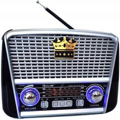 Ретро MP3-радиоплеер Golon RX-BT455S цена и информация | Радиоприемники и будильники | kaup24.ee