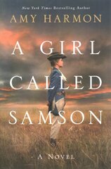 Girl Called Samson: A Novel цена и информация | Фантастика, фэнтези | kaup24.ee