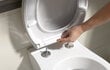 Seinale paigaldatav WC-pott RIMLESS, ilma ääreta + WC-pott SLIM, Soft Close WALTER цена и информация | WС-potid | kaup24.ee