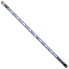 Akvaariumi valgustus Leddy Tube Marine LED, 14 W hind ja info | Akvaariumid ja seadmed | kaup24.ee