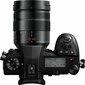 Panasonic Lumix G DC-G9L + Panasonic Leica DG Vario-Elmarit 12-60mm / F2.8-4.0 ASPH. / Galia O.I.S. H-ES12060 цена и информация | Fotoaparaadid | kaup24.ee