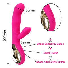 Vaginaalne ja anaalne "Rabbit" tüüpi vibraator USB laadimisega, AM137 hind ja info | Vibraatorid | kaup24.ee