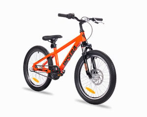Jalgratas lastele Insera Breeze 20", oranž цена и информация | Велосипеды | kaup24.ee