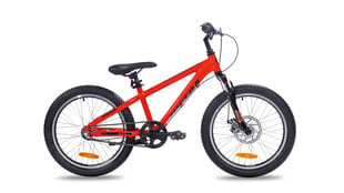 Велосипед детский Insera Breeze 20", оранжевый цвет цена и информация | Велосипеды | kaup24.ee