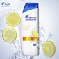 Šampoon Head&Shoulders Citrus 250 ml цена и информация | Šampoonid | kaup24.ee