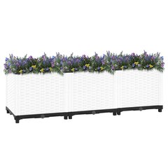 vidaXL taimelava, 120 x 40 x 38 cm, polüpropüleen цена и информация | Ящики для цветов | kaup24.ee