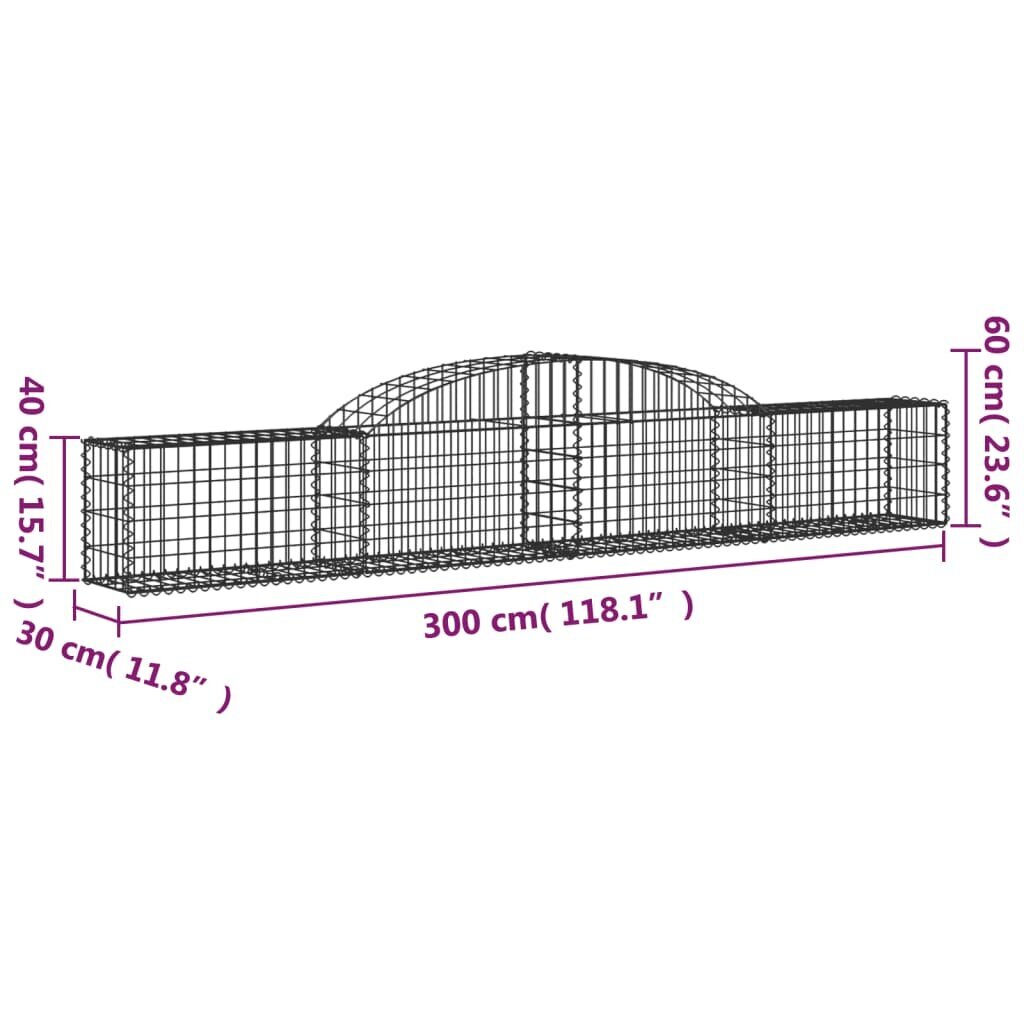 vidaXL kaarekujulised gabioonkorvid 13 tk, 300x30x40/60 cm, raud hind ja info | Aiad ja tarvikud | kaup24.ee