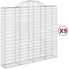 vidaXL kaarekujulised gabioonkorvid 9 tk, 200x50x180/200 cm, raud hind ja info | Aiad ja tarvikud | kaup24.ee