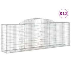 vidaXL kaarekujulised gabioonkorvid 12 tk, 300x50x100/120 cm, raud цена и информация | Заборы и принадлежности к ним | kaup24.ee