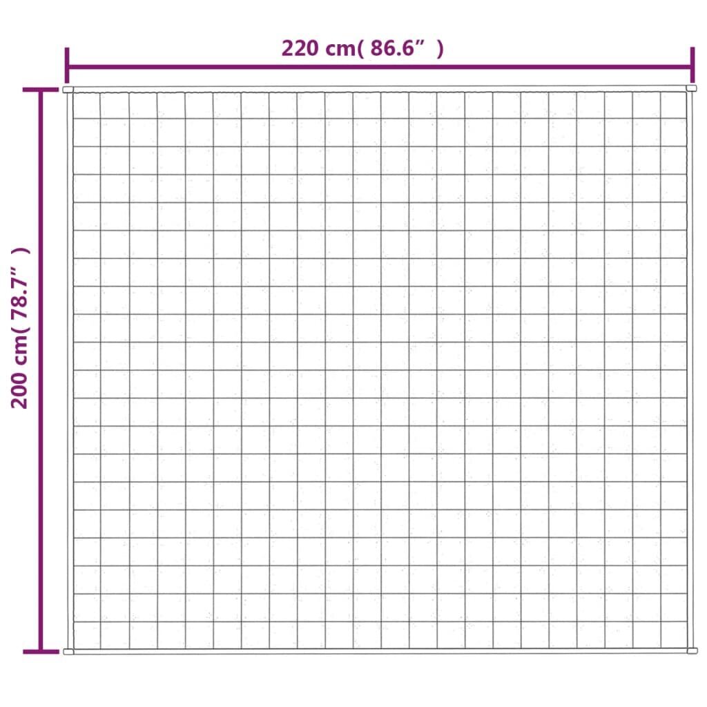 vidaXL raskustekk kreemjas 200x220 cm 9 kg kangas hind ja info | Tekid | kaup24.ee