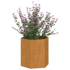 vidaXL taimekast, rooste, 40x40x45 cm, Corten teras цена и информация | Ящики для цветов | kaup24.ee