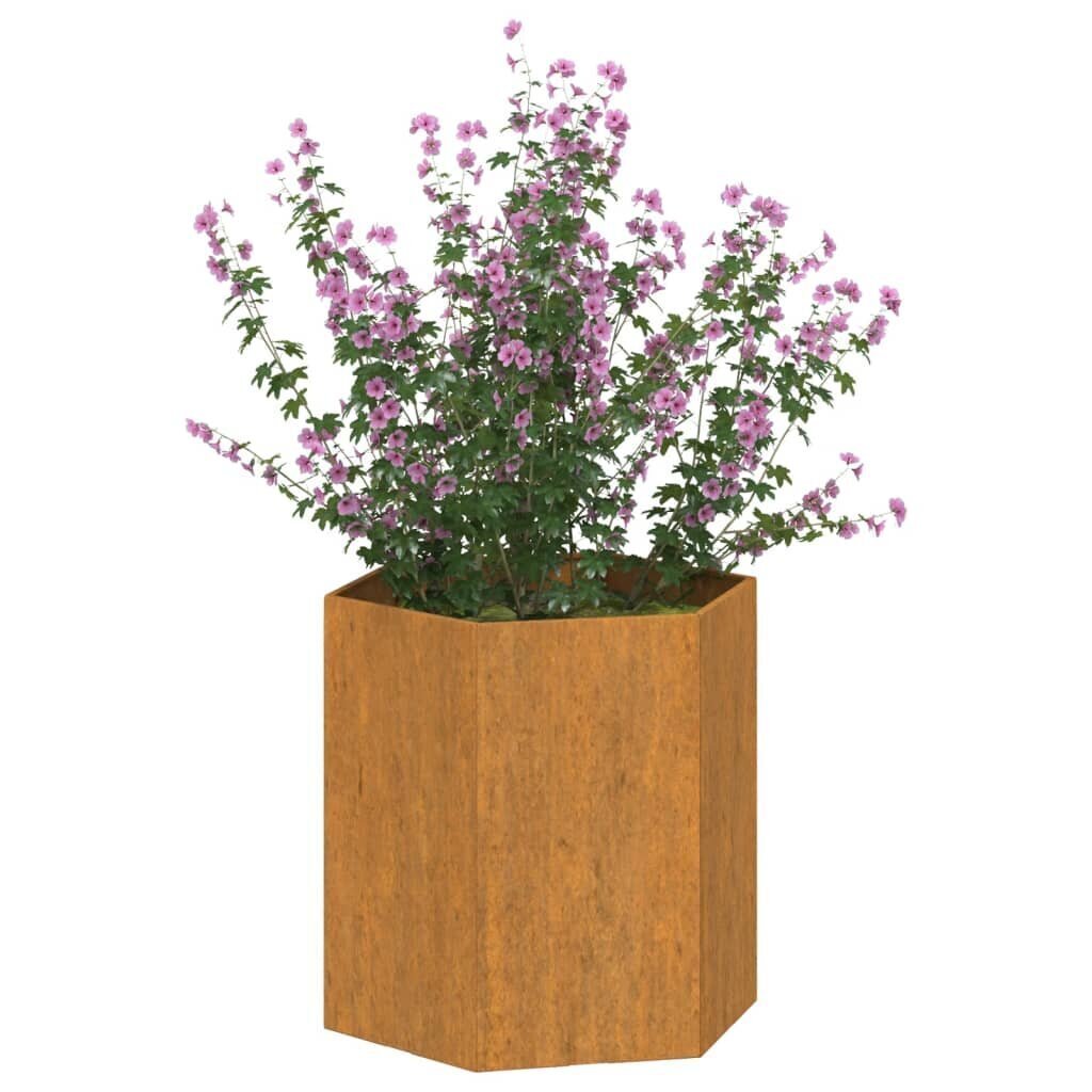 vidaXL taimekast, rooste, 40x40x45 cm, Corten teras hind ja info | Lillekastid | kaup24.ee