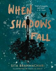 When Shadows Fall цена и информация | Книги для подростков и молодежи | kaup24.ee