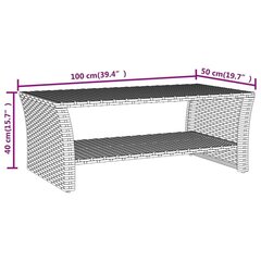 vidaXL kohvilaud, hall, 100 x 50 x 40 cm, polürotang hind ja info | Diivanilauad | kaup24.ee