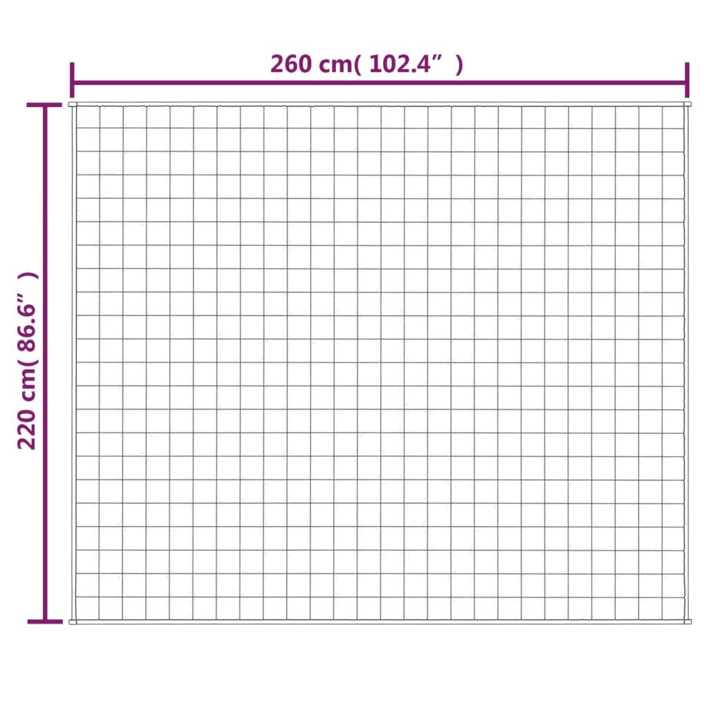 vidaXL raskustekk kreemjas 220x260 cm 11 kg kangas hind ja info | Tekid | kaup24.ee