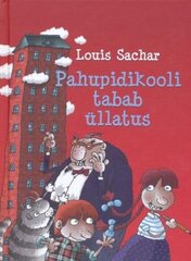 Pahupidikooli tabab üllatus hind ja info | Väikelaste raamatud | kaup24.ee