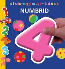 PILDIRAAMAT- PUSLE. NUMBRID цена и информация | Книги для малышей | kaup24.ee