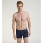 Meeste aluspüksid Triumph, 2 tk hind ja info | Meeste aluspesu | kaup24.ee