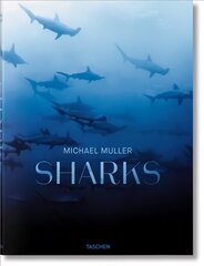 Michael Muller. Sharks: Face-to-Face with the Ocean's Endangered Predator hind ja info | Fotograafia raamatud | kaup24.ee