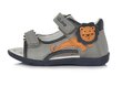 Poistele nahast sandaalid D.D.Step, G075-357A, Grey hind ja info | Laste sandaalid | kaup24.ee