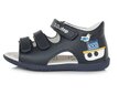 Poistele nahast sandaalid D.D.Step, G075-323, Royal Blue hind ja info | Laste sandaalid | kaup24.ee