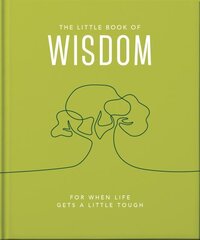 Little Book of Wisdom: For when life gets a little tough Updated цена и информация | Самоучители | kaup24.ee