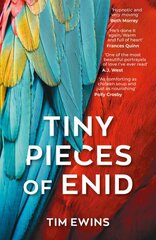 Tiny Pieces of Enid цена и информация | Фантастика, фэнтези | kaup24.ee