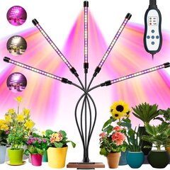 5 x taimekasvu lamp 60 LED taimer + pult hind ja info | Nutipotid ja taimelambid | kaup24.ee