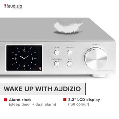 Интернет-радиоприемник Audizio Adria с DAB+/FM серебристый цена и информация | Радиоприемники и будильники | kaup24.ee