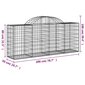 vidaXL kaarekujulised gabioonkorvid 30, 200x50x80/100cm tsingitud raud hind ja info | Aiad ja tarvikud | kaup24.ee