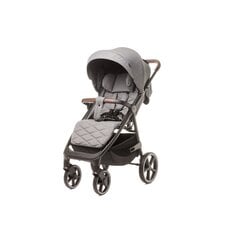 Sportlik jalutuskäru 4Baby Stinger Pro, Melange Grey цена и информация | Коляски | kaup24.ee