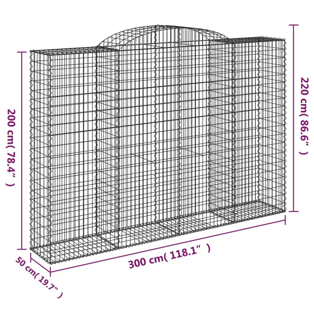 vidaXL kaarekujulised gabioonkorvid 2 tk, 300x50x200/220 cm, raud цена и информация | Aiad ja tarvikud | kaup24.ee