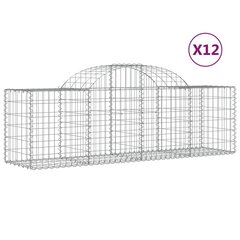 vidaXL kaarekujulised gabioonkorvid 12 tk, 200x50x60/80 cm, raud hind ja info | Aiad ja tarvikud | kaup24.ee