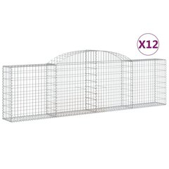 vidaXL kaarekujulised gabioonkorvid 12 tk, 300x30x80/100 cm, raud hind ja info | Aiad ja tarvikud | kaup24.ee