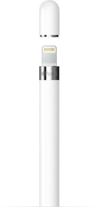 Apple Pencil (1st Generation) - MQLY3ZM/A цена и информация | Tahvelarvuti lisatarvikud | kaup24.ee