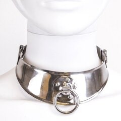 METALHARD RESTRICTED SLAVE COLLAR цена и информация | БДСМ и фетиш | kaup24.ee