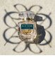 Parfüümvesi naistele Elie Saab Le Parfum Royal EDP 30 ml hind ja info | Naiste parfüümid | kaup24.ee