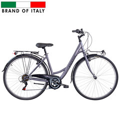 Городской велосипед ESPERIA 28" Devon (226500D) серый/фиолетовый (18") цена и информация | Велосипеды | kaup24.ee