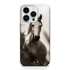 Telefoniümbris iPhone 12 Pro Max цена и информация | Чехлы для телефонов | kaup24.ee