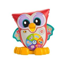 Музыкальная интерактивная сова Fisher Price Pupū HNK87 цена и информация | Развивающие игрушки | kaup24.ee