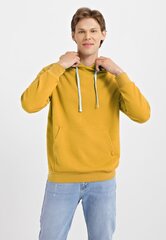 Джемпер для мужчин цена и информация | Мужские свитера | kaup24.ee
