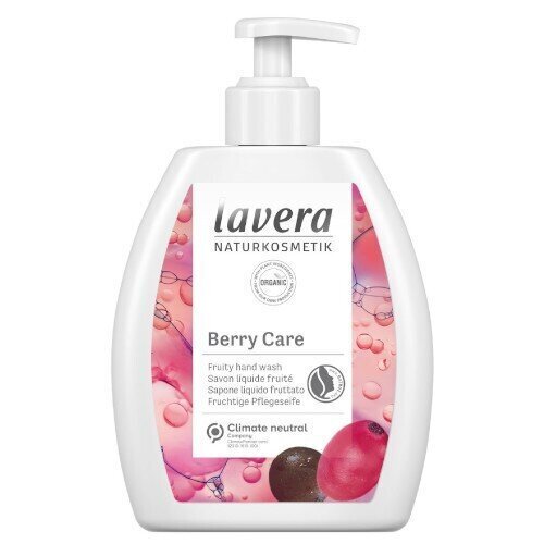 Vedelseep Berry Care pumbaga (Hand Wash) 250 ml hind ja info | Seebid | kaup24.ee