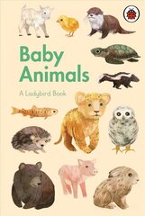 Ladybird Book: Baby Animals цена и информация | Книги для подростков и молодежи | kaup24.ee