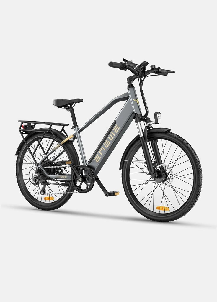Elektri jalgratas Engwe P26, hall, 250W, 17Ah цена и информация | Elektrirattad | kaup24.ee