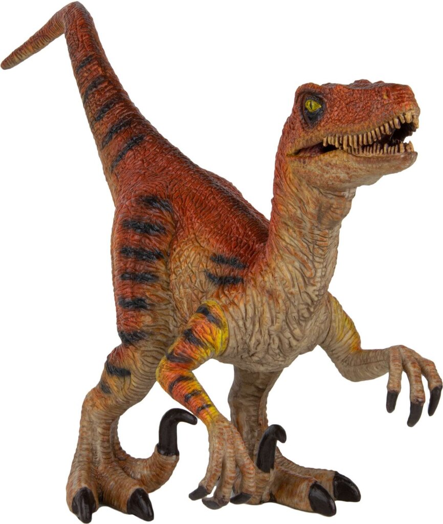 Dinosaurusfiguur Boley Velociraptor 19 cm цена и информация | Poiste mänguasjad | kaup24.ee